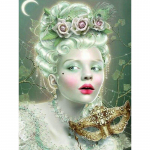 Teemantmaal Ilus daam Tikand Teemant 5d Teemantmaal 20X30CM