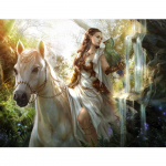 5D DIY Teemantmaal Ilus t&uuml;druk, ratsutamine Tikand Ruut / &Uuml;mmargune Teemantristpistes Vesi Teemantmosaiikmaalide Dekoratsioon Full Square (20X30CM)