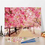 Numbrid &otilde;limaal DIY maal numbrite j&auml;rgi Digitaalne &otilde;limaal K&auml;sitsi valmistatud l&otilde;uend Numbrimaal 40x50cm no frame