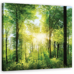 L&otilde;uenditr&uuml;kk Sunshine Forest Nature 30x30 roheline