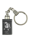 Bulldog, English Bulldog, British Bulldog - Crystal key ring with dog photo, illuminated key ring, unique gift by Art-Dog brand