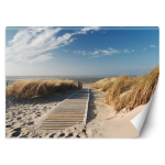 Tapeet Mere Ranna Maastik 254x184 sinine