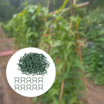 Garden Plant Supports Clips Reusable Sturdy Easy to Install and Remove Supporting Stem Versatile for 1.6cm