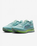 Nike Pegasus Premium Maanteejooksukingad Cannon Barely Volt Meeste suurus HQ2592-009