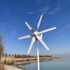 Saksamaa Otsene Tuuleturbiini Generaatori S&uuml;steem P&auml;ikeseenergia V&otilde;rgust Eemal 800W 12v 24v 48v Horisontaalne Tuulegeneraatori S&uuml;steem Tuuleturbiin 800w