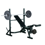 Kaalupink Multifunktsionaalne kaalutreeningu pink 3-tasemelise reguleeritava k&otilde;rgusega kogu keha fitness-treeninguks 175x98x130 cm Must 175 x 98 x 130 cm