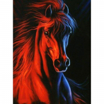 Teemantmaal Ristpistes Teemantmosaiik Teemanttikandid Punkti Teemantmaal 20X30CM