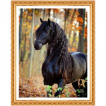 5D Teemantmaal Ristpistes Loomad T&auml;is&uuml;mmargune teemantpilt Kodukaunistus 20X30CM