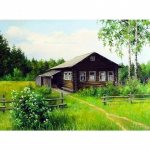 Teemantmaal Maaelu Teemanttikandid Ristpistes 5D Seina &uuml;mmargune Rhinestone 20X30CM