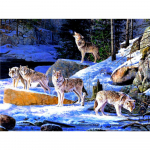 T&auml;isruudu puur 5d Teemantmaal Talvine Loom Teemanttikandid Hundipakk Ristpistes J&otilde;ulukingitus Mosaiik K&auml;sit&ouml;&ouml; K&auml;sit&ouml;&ouml; Kodukaunistus Full Round (20X30CM)