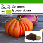 SAFLAX - Orgaaniline - Tomat - H&auml;rjas&uuml;da - 10 seemet - Potisubstraadiga paremaks kasvatamiseks - Solanum lycopersicum