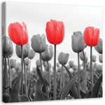 L&otilde;uenditr&uuml;kk Punane tulp heinamaal 30x30 punane