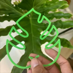 Monstera tehase stend: Sisekollektsioon kukkumisvastaste potitaimede tugi- ja aiat&ouml;&ouml;riistade jaoks (Two sizes per pack) Yellow