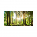 Sunrise Forest seinakunst l&otilde;uendimaal Moodne loodusmaastiku plakatid ja tr&uuml;kised Seinapildid elutoa kodukaunistamiseks 20x40cm