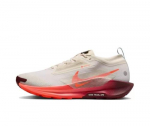 Nike Pegasus Trail 5 GORE-TEX Jooksukingad Meeste FQ0908-104 EU 39 mitmev&auml;rviline