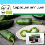 SAFLAX &ndash; Kingikomplekt &ndash; Orgaaniline &ndash; Kuum t&scaron;illipipar &ndash; Varajane Jalapeno &ndash; 20 seemet &ndash; Koos kinkekarbi, kaardi, etiketi ja potisubstraadiga &ndash; Capsicum annuum