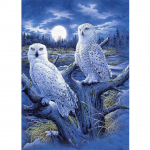 5D DIY Teemantmaali Loom t&auml;is Teemanttikandid Rhinestone Cat Eagle Kodukaunistused Kingitus Mosaiik Kunst Pilt Ristpistes Kit Full Round 20x30CM