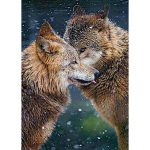 Isetegija 5D Teemanttikandid Maalimine T&auml;is&uuml;mmargune puur Hunt Mosaiik Ristpistes Komplektid Loomamustri kunst Kingitus Seinakunst Kodukaunistus Full Round 20x30CM