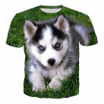 Pet Dog Husky 3D Print T-s&auml;rk riided Loomade Husky T-s&auml;rgid Mehed Naiste Suvi Uus Mood vabaaja Hip Hop Topid S
