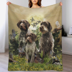 Saksamaa traatkarvaline jahikoer Jahisong Viska tekk Hubane kerge tekk reisimiseks, telkimiseks, piknikuks 102x76cm(40x30in) gray