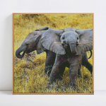 Teemantmaal &uuml;mmarguste kividega kivist tikandiga kingiloomadele ristpistes komplekt 30x30