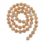 string of natural gemstone Shell Stone beads for jewelry DIY 6mm 63pcs 8mm 48pcs