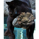 Teemantmaal Star Moon Night Farmhouse Decor Pilt Rhinestonest 20X30CM