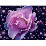 Tikandid K&auml;sit&ouml;&ouml; Maalikomplekt 5D Tikandid Maalimine Teemanttikandid Roosi t&auml;piline teemant 20X30CM