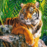 5D teemantmaal t&auml;isteemanttikandid kodukaunistus multikas loomade kingitus tikandid 60x60CM beež