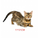 Tri Mishki Wcs629 11x21cm Lemmikloom Bengali kass Siberi kass Naljakas autokleebised Autode seinakleebised