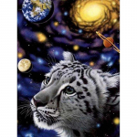 &Uuml;mmargune teemant 5D DIY teemantmaal Kosmoseplaneedi delfiinilained 3D mosaiiktikandid ristpistes 5D kodukaunistus Full Round 20x30CM