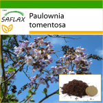 SAFLAX &ndash; Printsessipuu &ndash; 200 seemet &ndash; Potisubstraadiga paremaks kasvatamiseks &ndash; Paulownia tomentosa