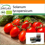 SAFLAX - Aed kotis - Mahe - Tomat - Roma - 15 seemet - Substraadiga sobivas p&uuml;stijas kotis - Solanum lycopersicum