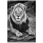 Les Tr&eacute;sors De Lily [A3006] - Fotol&otilde;uend 'Lion' must valge - 120x80 cm hall