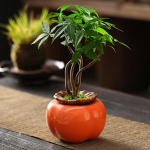 Elegant Persimmon Flower Vase for Home Decor - Add a touch of sophistication to your living space Medium