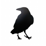 Decoracion Simulation Black Crow Raven Linnut&otilde;rje Kahjurit&otilde;rje Tuvit&otilde;rje Aiakaunistus &Otilde;ues