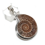 Ammonite Fossil Gemstone Handmade 925 Sterling Silver Jewelry Pendant 1.97 z1w59