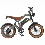 DYU M20 K&otilde;rge j&otilde;udlusega linnatranspordi elektrijalgratas Tippkiirus 55KM/H Aku 48V18.2Ah Mootor 1000W 20-tollised paksud rehvid E-Bike