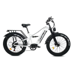 Cleytro ES7-W elektriline jalgratas on varustatud 750W mootori ja 48V 18AH akuga, mille s&otilde;iduulatus on 45-90 kilomeetrit. ES7-W-1-TT