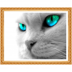 DIY 5D t&auml;is&uuml;mmargune teemant V&auml;ike valge kassi t&auml;is&uuml;mmargune maalimine pistega kristallist teemantmaal 20X30CM