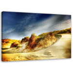 Feeby l&otilde;uenditr&uuml;kk, Dunes 60x40 sinine