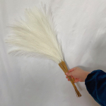 55CM 5/10/20 TK kohev pamparohi Boho Decor Lill V&otilde;lts taim Pilliroog Simuleeritud pulmapidu Kodukaunistus Kunstlilled 5PCS elevandiluuvalge