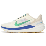 Nike Air Winflo 9 Premium Kookospiim Staadioniroheline Meeste Tossud Kreemjas Liivakollane V&otilde;idus&otilde;idukinine DV8997-100 45 beige