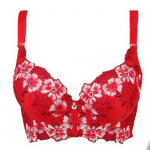 FallSweet Embroidery rinnahoidja naistele Seksikas Push Up rinnahoidja CD Cup aluspesu 34C