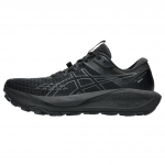ASICS Gel Trabuco 13 Gore Tex Must Grafiithhall Jooksujalatsid 1011B978-002 40 must