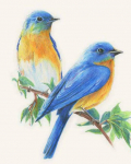 5D Diamant Bird Cartoon Mosaiic King Teemanttikandid Broderies Teemantmaalid 20X30