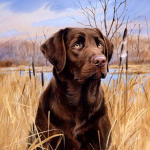 Loomade isetegemine 5D teemantmaal T&auml;is&uuml;mmargune puur Rhinestones mosaiik lemmikloomakoer teemanttikandid ristpistes kodukaunistus Full Round 30x30CM