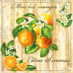 Puuviljade teemanttikandid K&ouml;&ouml;gi seinakaunistus Teemantmaal T&auml;is&uuml;mmargune puur-kristallmosaiik Pilt kivist Full Round 20x20CM