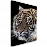 L&otilde;uendiprint Tiger Wildlife 40x60 pruun