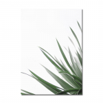 Rohelised taimed, lehtede lilled A4 21x30cm No Frame